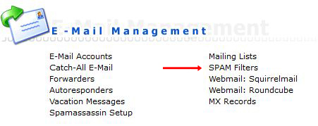 directadmin email management spam filter