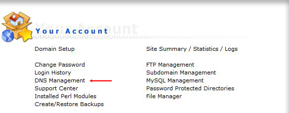 directadmin dns management