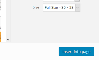 wordpress add image 6