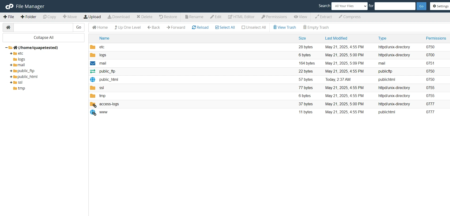 file manager interface in cpanel