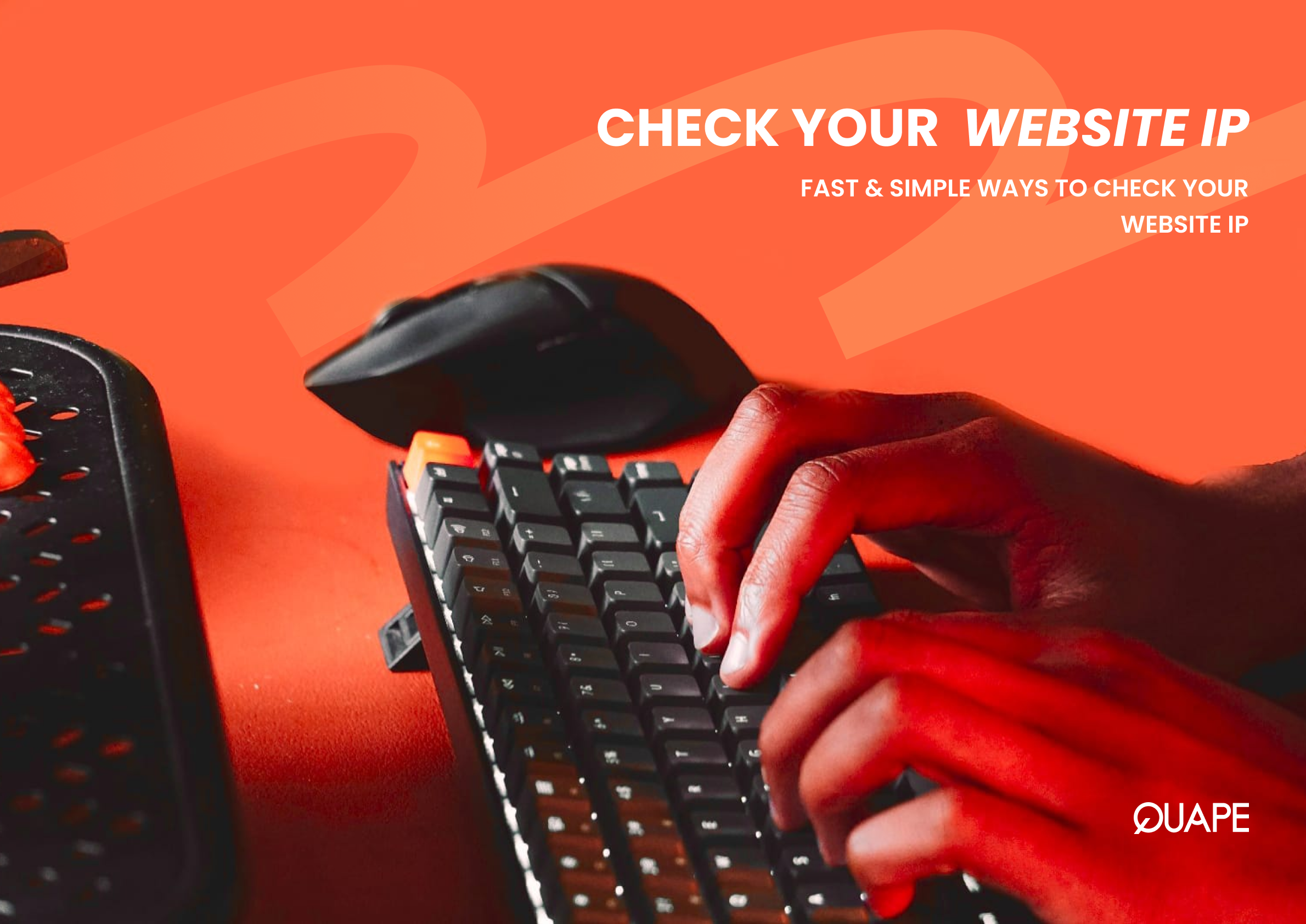 Easy Way to Check Website Hosting IP Fast & Simple