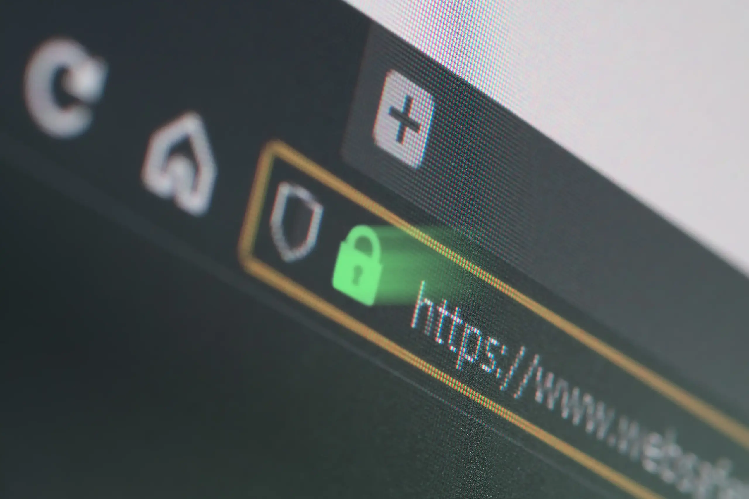 Types of SSL Certificates