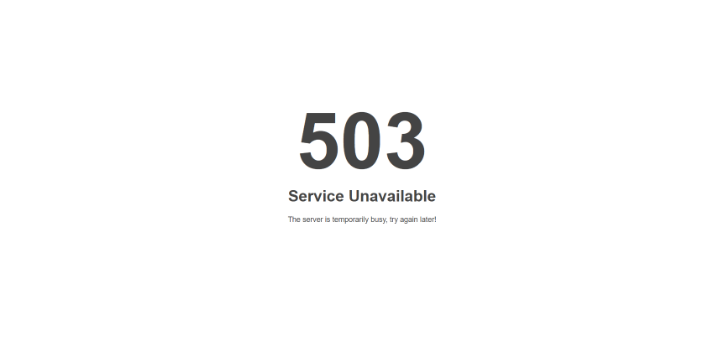 What is Error 503?