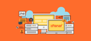 Why You Might Need cPanel Hosting?
