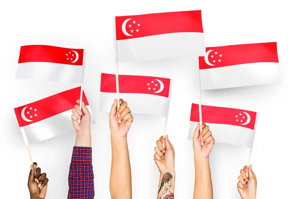 六只手挥舞着新加坡国旗来查找什么是 sg 域名